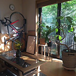 観葉植物 掃き出し窓のおしゃれなインテリアコーディネート レイアウトの実例 Roomclip ルームクリップ