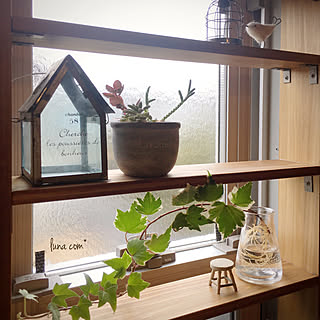 アイビー水挿し/kotoriちゃんの作品♡/NO GREEN NO LIFE/いつもいいねやコメありがとうございます♡/ナチュラルキッチン...などのインテリア実例 - 2020-01-26 10:49:15