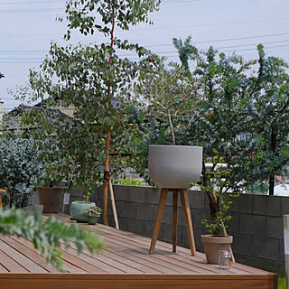 プランター 植栽のインテリア実例 Roomclip ルームクリップ プランター 植栽のインテリア実例 Roomclip ルームクリップ