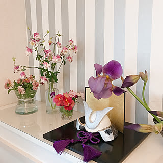 庭の花 オダマキのインテリア実例 Roomclip ルームクリップ 庭の花 オダマキのインテリア実例 Roomclip ルームクリップ