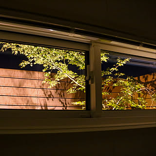 半露天風呂のインテリア実例 Roomclip ルームクリップ