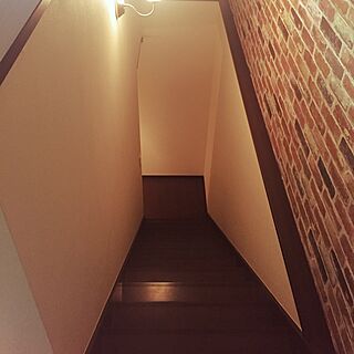 地下室へ/階段からの眺め/階段/地下/賃貸のインテリア実例 - 2016-04-15 18:31:09