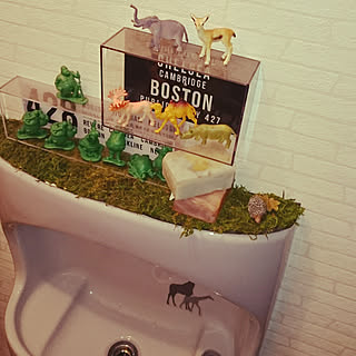 トイレ フィギュアのインテリア実例 Roomclip ルームクリップ
