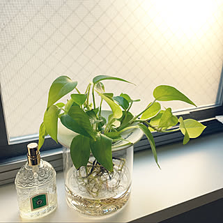 バス トイレ 青山フラワーマーケットのインテリア実例 Roomclip ルームクリップ