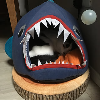 猫 フライングタイガーの商品を使ったおしゃれなインテリア実例 Roomclip ルームクリップ