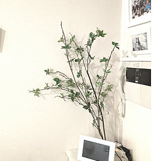 ニトリ ドウダンツツジフェイクのインテリア実例 Roomclip ルームクリップ ニトリ ドウダンツツジフェイクのインテリア実例 Roomclip ルームクリップ