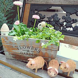 玄関/入り口/〇〇のある暮らし/ベランダガーデンのある暮らし/グリーン/ディズニーベンチ...などのインテリア実例 - 2020-01-23 16:49:36