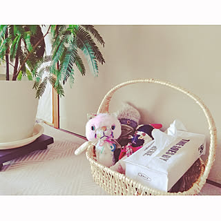ぬいぐるみ収納 かご収納のインテリア実例 Roomclip ルームクリップ