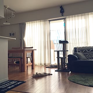 100均 サンシェードのインテリア実例 Roomclip ルームクリップ 100均 サンシェードのインテリア実例 Roomclip ルームクリップ