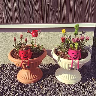 花壇 ホーマックのインテリア実例 Roomclip ルームクリップ 花壇 ホーマックのインテリア実例 Roomclip ルームクリップ