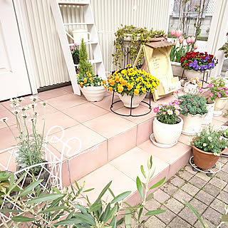 玄関/入り口/花のある暮らし/庭/お花に癒されます♡/ビオラ...などのインテリア実例 - 2020-03-30 00:07:50