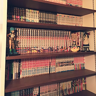 棚/漫画棚/漫画/可動棚/造作棚のインテリア実例 - 2019-02-04 22:39:26