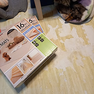 吸着タイルマットのインテリア実例 Roomclip ルームクリップ