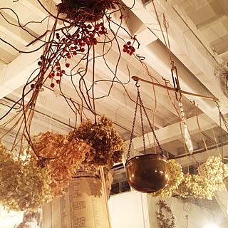 壁/天井/Brocante/アンティーク/ドライフラワー/ブロカントのインテリア実例 - 2014-03-10 18:13:40