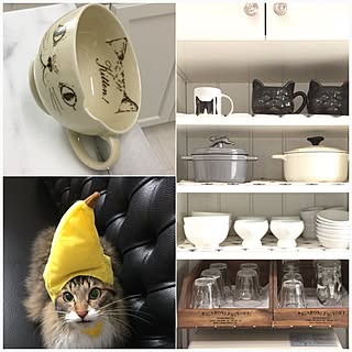 キッチン/海外インテリアに憧れて♡/いつもいいねやコメントありがとう♡/NO CAT,NO LIFE❤️/ニャビーシック...などのインテリア実例 - 2017-07-04 19:30:50