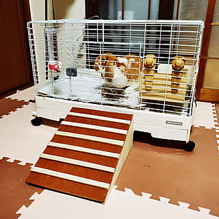 Diy スロープのインテリア 手作りの実例 Roomclip ルームクリップ