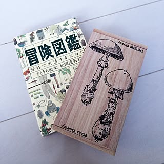 手描きイラスト セリアの木箱のインテリア実例 Roomclip ルームクリップ