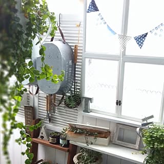 棚/ベランダ小部屋化計画/フラッグガーランド/窓枠付きラック/ベランダガーデン...などのインテリア実例 - 2013-10-29 14:17:45