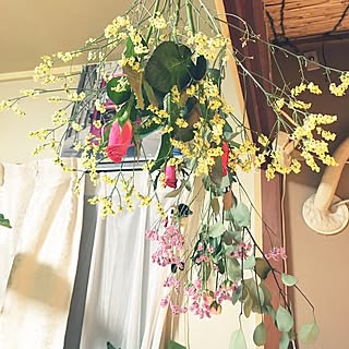 ドライフラワー 女子力upのインテリア実例 Roomclip ルームクリップ