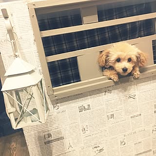 リメイクシート 英字新聞風のインテリア実例 Roomclip ルームクリップ リメイクシート 英字新聞風のインテリア実例 Roomclip ルームクリップ
