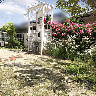 バラ バレリーナのインテリア実例 Roomclip ルームクリップ