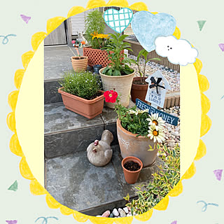 カインズホーム ペチュニアの商品を使ったおしゃれなインテリア実例 Roomclip ルームクリップ