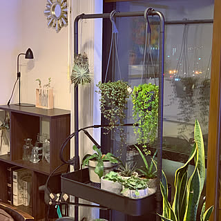 植物育成ライトのインテリア実例 Roomclip ルームクリップ