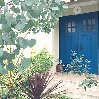 シンプソン 木製ドアのインテリア実例 Roomclip ルームクリップ