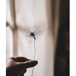 ワイヤーフラワーのインテリア実例 Roomclip ルームクリップ