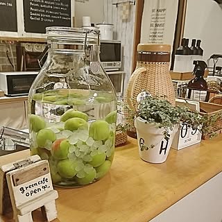 手作り 果実酒のインテリア実例 Roomclip ルームクリップ