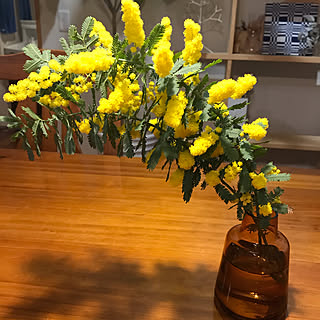 NO GREEN NO LIFE/花のある暮らし/ホルムガード フラワーベース/観葉植物/チーク無垢床...などのインテリア実例 - 2020-02-20 19:25:13