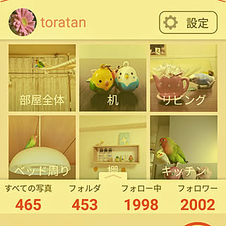 部屋全体/セキセイインコ/インコと暮らす家/オカメインコ/鳥と暮らす...などのインテリア実例 - 2019-04-15 20:42:46