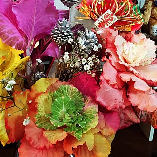 葉牡丹 正月花のインテリア実例 Roomclip ルームクリップ