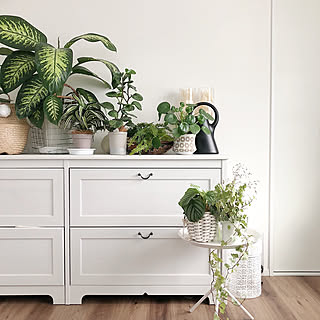 棚/ホワイトインテリア/HAY/観葉植物のある暮らし/IKEA チェスト...などのインテリア実例 - 2018-08-24 16:18:45