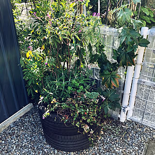 タイヤのプランターのインテリア実例 Roomclip ルームクリップ