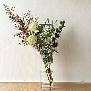 壁/天井/Aoyama Flower Market/グリーンのある暮らし/6畳/和室...などのインテリア実例 - 2017-09-15 06:51:24