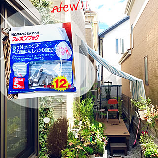 スッポンフック/新商品買ったよ!/お花に癒されるᙏ̤̫͚ᙏ̤̫͚/うさぎに癒されるᙏ̤̫❤︎/うさぎチャンの暮らす家...などのインテリア実例 - 2019-11-10 06:52:17
