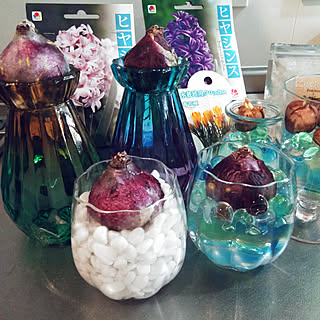 セリア カラーストーンの商品を使ったおしゃれなインテリア実例 Roomclip ルームクリップ セリア カラーストーンの商品を使ったおしゃれなインテリア実例 Roomclip ルームクリップ