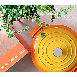 初売り戦利品/Casserolle/山善電気グリル鍋/山善/押し逃げばかりでごめんなさい...などのインテリア実例 - 2019-01-06 14:49:20