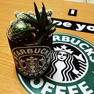 机/観葉植物に癒やされてます✮/いつもイイネ★ありがとぅございますっ★/リメ缶❤︎/観葉植物大好き❤︎...などのインテリア実例 - 2016-04-23 21:59:35