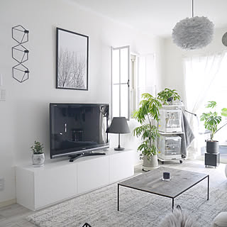 エバーフレッシュ/ペンダントライト/スカンジナヴィアンインテリア/DIY/ディスプレイ...などのインテリア実例 - 2020-02-23 10:32:13