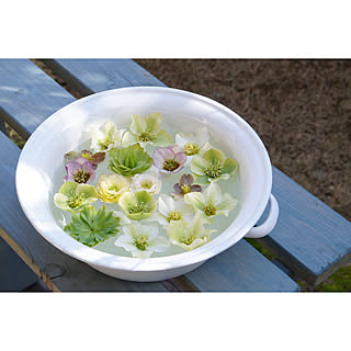 花のある暮らし フローティングフラワーのインテリア実例 Roomclip ルームクリップ