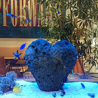 部屋全体/ロンハーマン/RH/RonHarman/インテリア...などのインテリア実例 - 2014-09-02 23:08:24