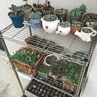 Daiso メイクマンのインテリア実例 Roomclip ルームクリップ