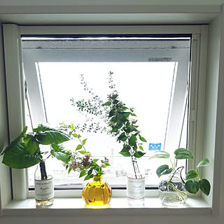 花瓶代用のインテリア実例 Roomclip ルームクリップ