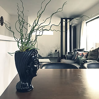 顔鉢のインテリア実例 Roomclip ルームクリップ 顔鉢のインテリア実例 Roomclip ルームクリップ