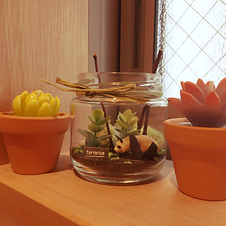 バス/トイレ/結婚記念日/多肉植物風キャンドル/フェリシモ/テラリウムキット/ベルメゾン マンスリークラブ...などのインテリア実例 - 2018-02-02 14:02:49