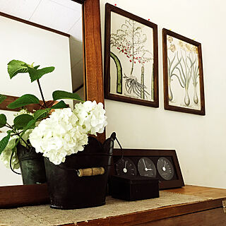 玄関 入り口 庭の花を生けるのインテリア実例 Roomclip ルームクリップ