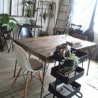 机/賃貸/ラダーDIY/ドライ/ウンベラータ♡...などのインテリア実例 - 2017-09-17 16:39:54
