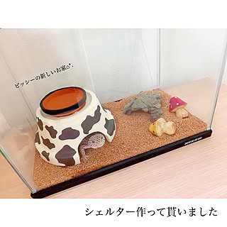 レオパのインテリア実例 Roomclip ルームクリップ レオパのインテリア実例 Roomclip ルームクリップ